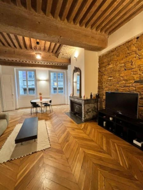 Bel appartement central à Lyon